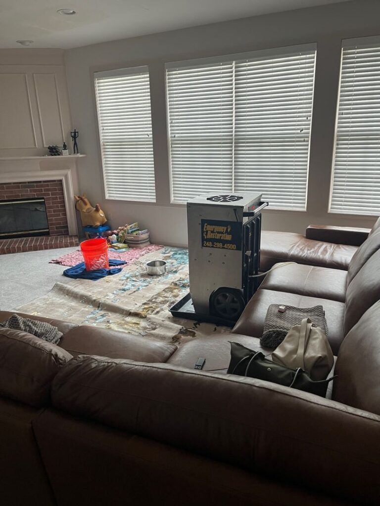 Water Damage Cleanup Example in Rochester Hills