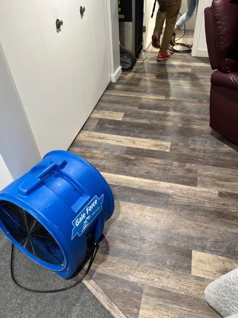 water damage cleanup Eastpointe, MI