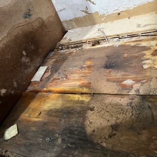 Water loss extraction Eastpointe, MI