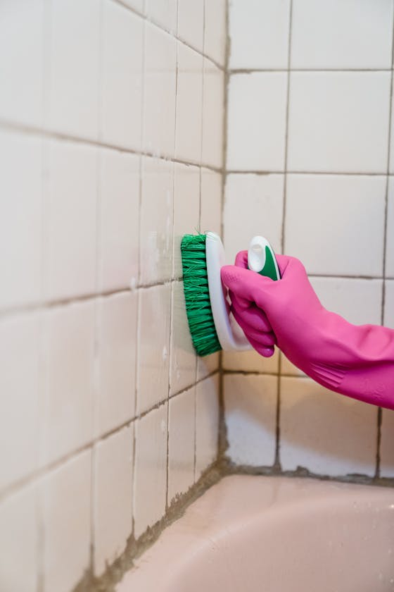 mold cleanup