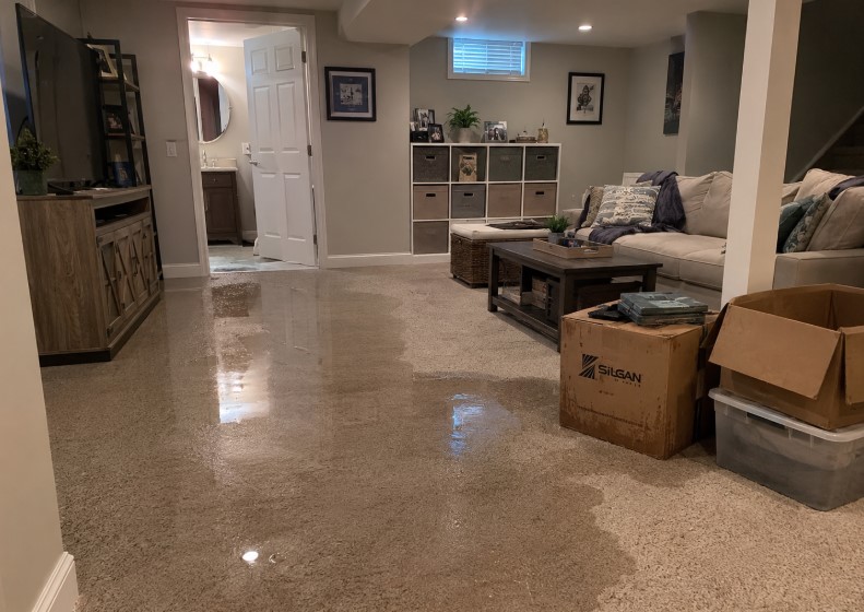 michigan flooded basement